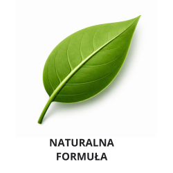 1360x450-na-strone-1360-x-450-px-250-x-250-px-(1).png